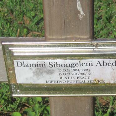 DLAMINI Sibongeleni Abednigo 1984-2017