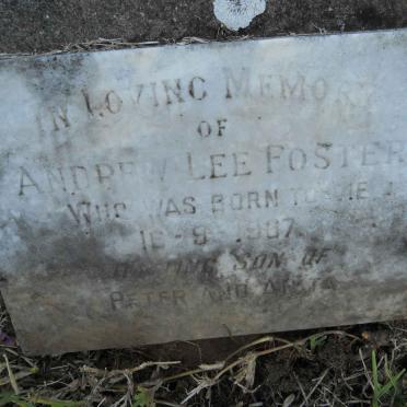 FOSTER Andrew Lee -1967