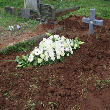 FRANCIS Lynette 1958-2017