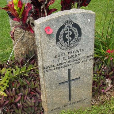 GRAY F.T. -1919