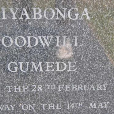GUMEDE Siyabonga Goodwill 1971-1995