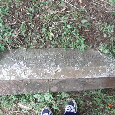 PUGIN Louis Desire Jules -1931