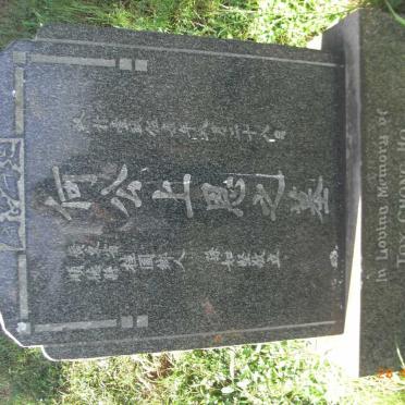 HO Toy Chong -1957