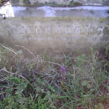 INNGS Evelyn nee LEVY -1953