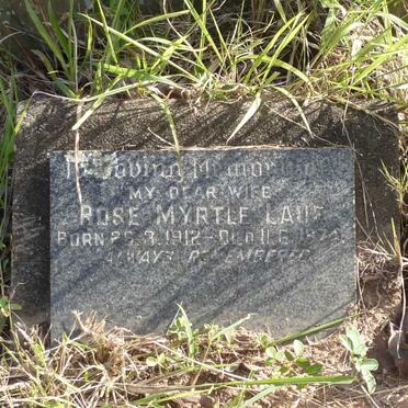 JOHNSON Herbert -1939 :: JOHNSON Harry L. 1937 :: JOHNSON Percy E. -1961 :: JOHNSON Edith Mary -1961