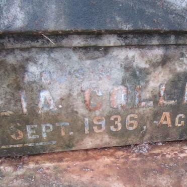 COLLIER Muriel Celia -1936