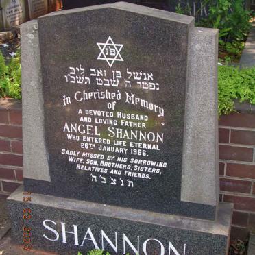 SHANNON Angel -1966