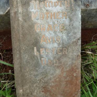 LESTER Grace Avis 