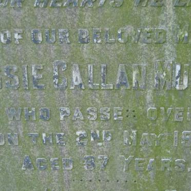 MURRAY Jessie Callan -1961