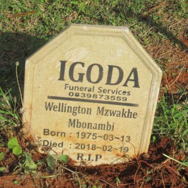 MBONAMBI Wellington Mzwakhe 1975-2018