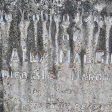 MACGILL Alex -1917