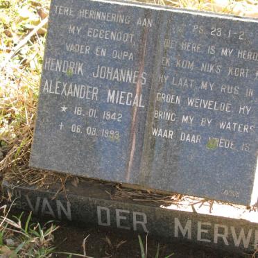 MERWE Hendrik Johannes Alexander Miegal, van der 1942-1993