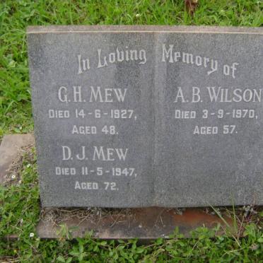 MEW G.H. -1927 &amp; D.J. -1947 :: WILSON A.B. -1970