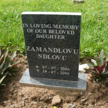 NDLOVU Zamandlovu 2006-2006
