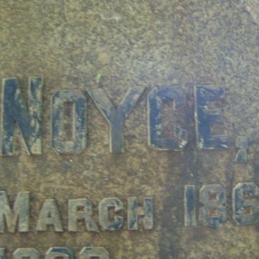 NOYCE Ernest Albert 1868-1933 :: NOYCE Gordon Ernest 1899-1967 :: NOYCE Rosemary Christine 1927-1960