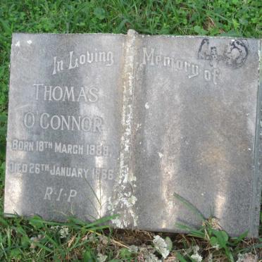 O'CONNOR Thomas 1889-1966