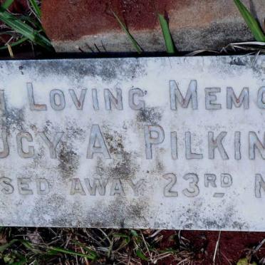 PILKINGTON Lucy A. -1950