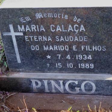 PINGO Maria Calaça 1934-1989