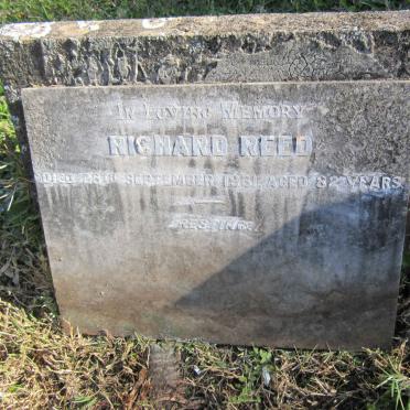 REED Richard -1931