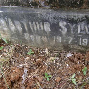 ROBERTSON Sarah S. 1888-1950 :: ROBERTSON D'Arthur Sylvester 1910-1964