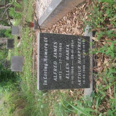 SAGE Alfred James 1872-1953 &amp; Ellen Maria 1868-1954 :: HARPTREE Arthur 1906-1975