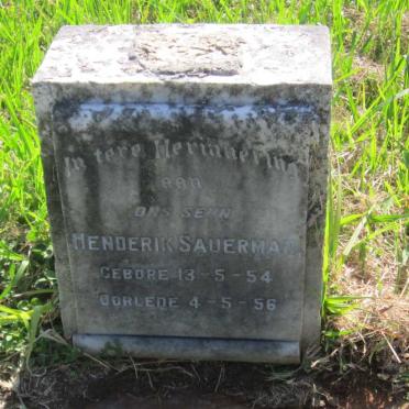 SAUERMAN Henderik 1954-1956