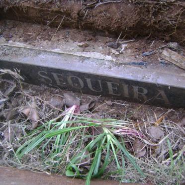 SEOUEIRA Muriel Dorothy 1924-1985