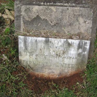 SNEEDEN Fernande 1896-1963