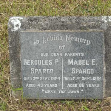 SPARGO Hercules P. -1924 &amp; Mabel E. -1964