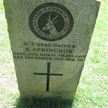 SPRINGBOK B. -1918