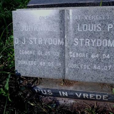 STRYDOM Johannes D.J. 1961-1988 :: STRYDOM Louis P. 1964-1984 