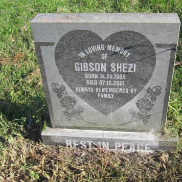 SHEZI Gibson 1965-2001