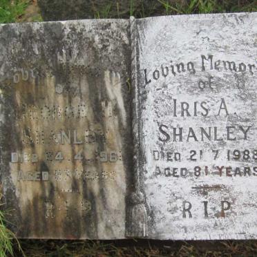 SHANLEY George H. -1961 &amp; Iris A. -1988