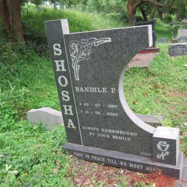 SHOSHA Bandile P. 1980-2003