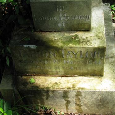 TAYLOR Marion -1942