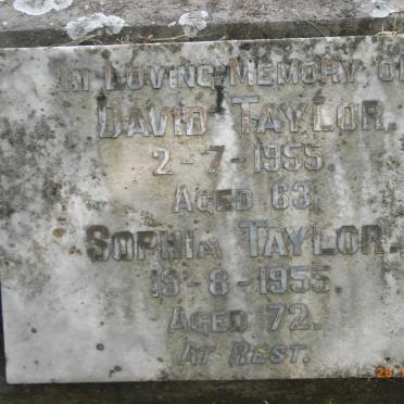 TAYLOR David -1955 &amp; Sophia -1955
