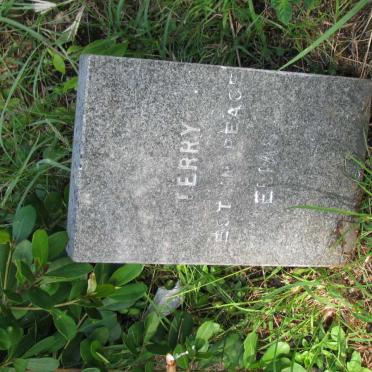 TERRY Elias -1895