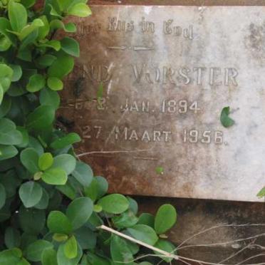 VORSTER Barend 1894-1956