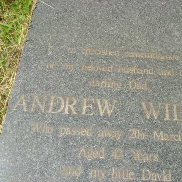 WILSON Andrew -1938 &amp; Inez 1904-1996 :: WILSON David 1931-1943 