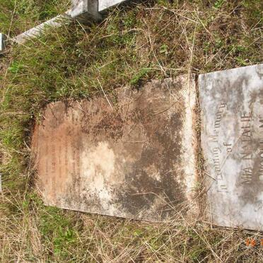 WOOLLAM Barbara Keith -1925 :: WOOLLAM Francis James -1934 :: WOOLLAM David Arthon 1926-1927