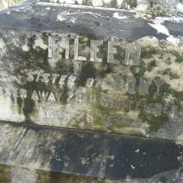 WENKE Eileen -1948 :: WENKE Robey -1952 :: WENKE Tony -1939