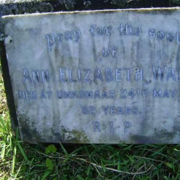 WALSH Ann Elizabeth -1953