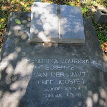 WALT Hendrina Johanna Elsenbie, van der nee JOOSTE 1907-1997