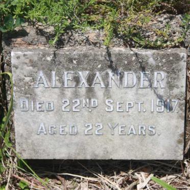 ? Alexander -1917