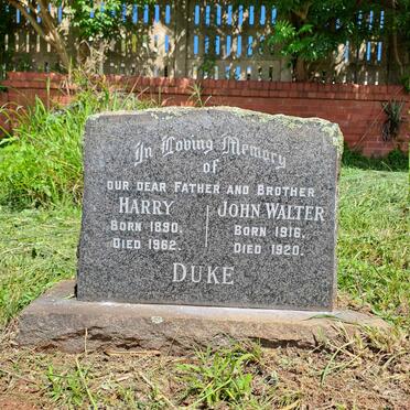DUKE Harry 1890-1962 :: DUKE John Walter 1916-1920