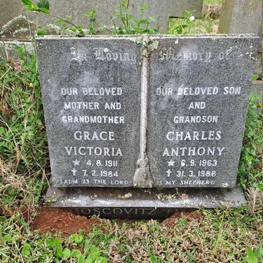 MOSCOVITZ Grace Victoria 1911-1984 :: MOSCOVITZ Charles Anthony 1963-1988