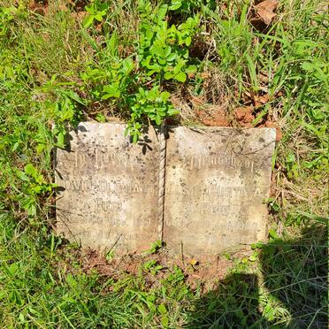 REID David Oliphant -1951 & Elsie Gustava -1980