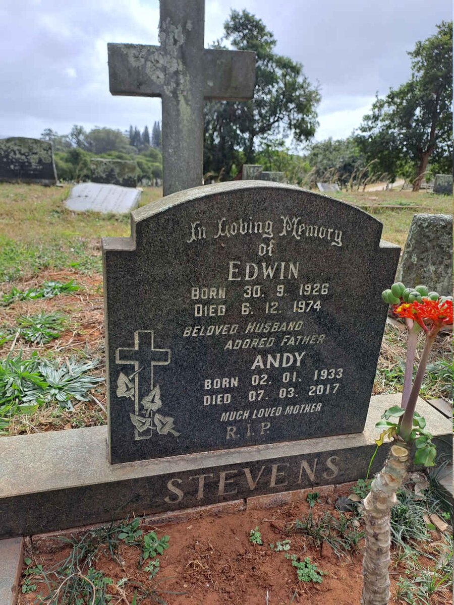 STEVENS Edwin 1926-1974 :: STEVENS Andy 1933-2017