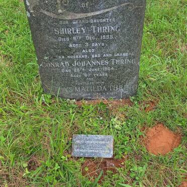 THRING Shirley -1955 :: THRING Conrad Johannes -1964 :: THRING Gladys Matilda -1985