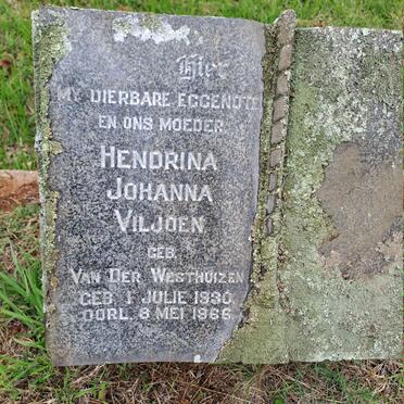 VILJOEN Hendrina Johanna nee VAN DER WESTHUIZEN 1930-1966